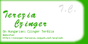 terezia czinger business card